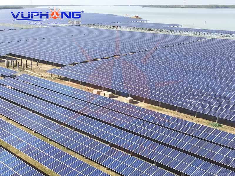 Điện Mặt Trời Hút Dòng Tiền: Cuộc Đua Triệu Đô Của Các Ông Lớn