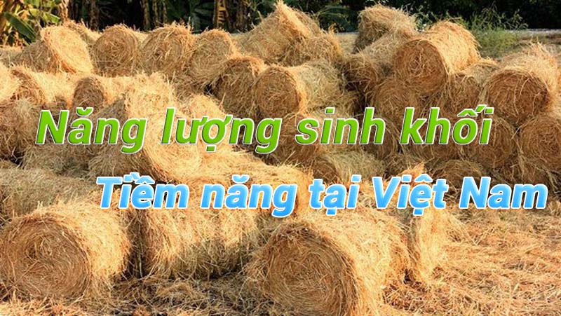Tiềm năng năng lượng điện sinh khối ở Việt Nam: Khai thác 150 triệu tấn mỗi năm