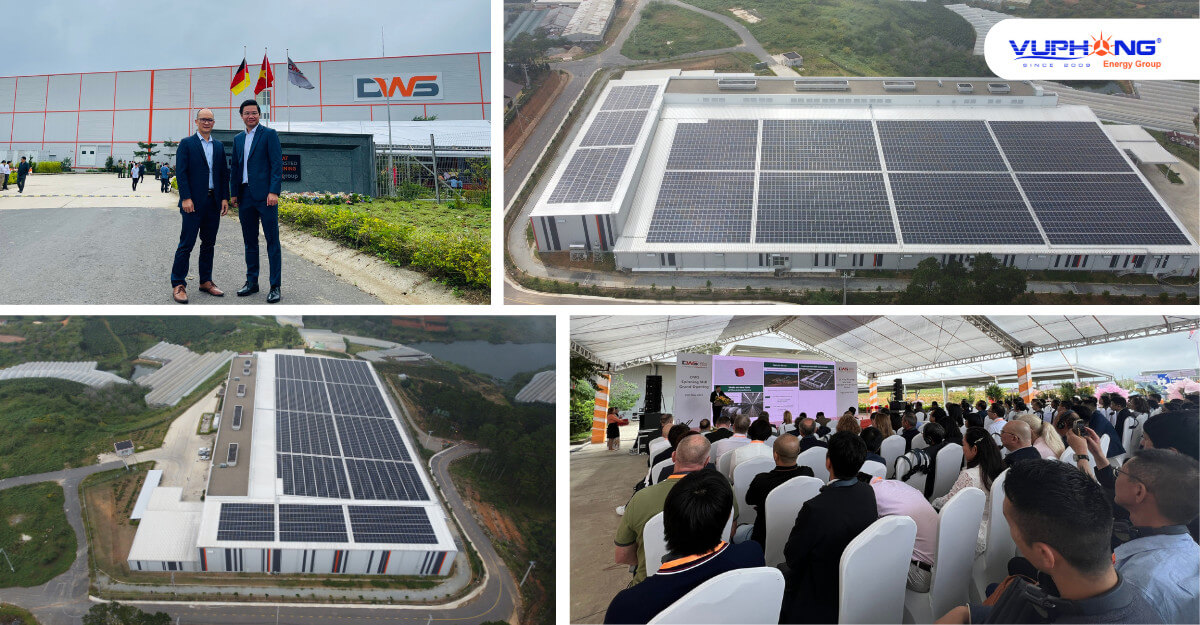 Khai Trương Nhà Máy Kéo Sợi Len Lông Cừu Đà Lạt – DWS: Bước Tiến Về Năng Lượng Sạch